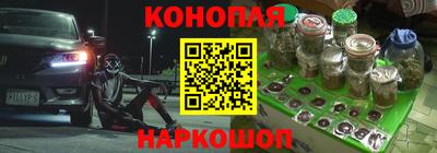 индика Ставрополь