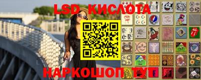 индика Ставрополь