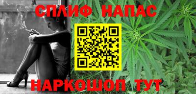 индика Ставрополь