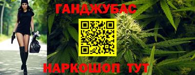 индика Ставрополь
