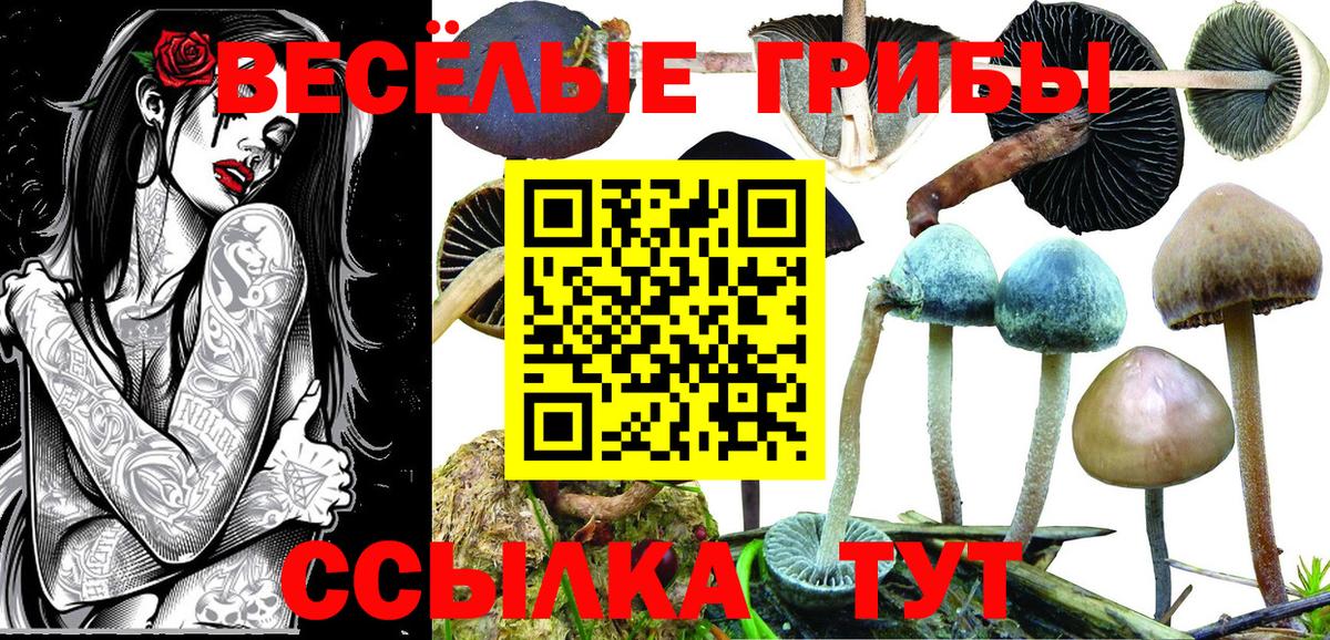 Галлюциногенные грибы Psilocybine cubensis Октябрьский